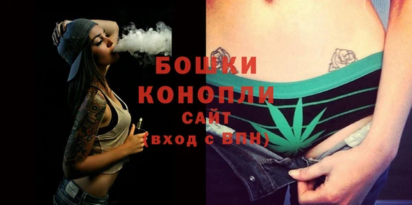 мет Инта