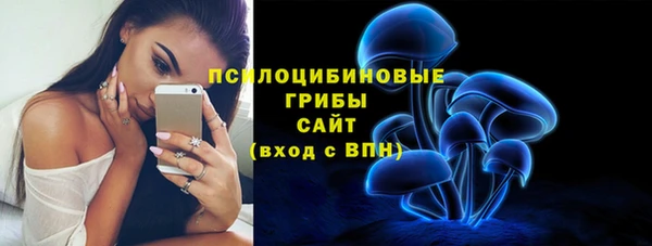 мет Инта
