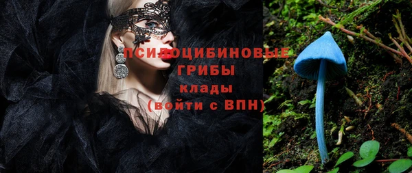 МДПВ Каменка