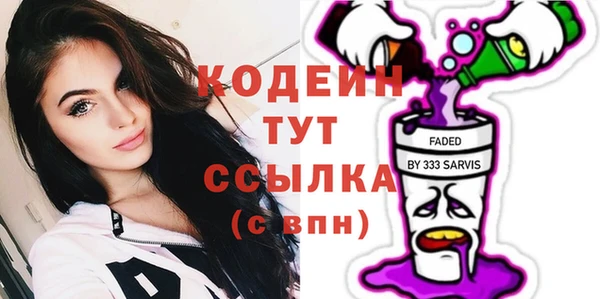 МДПВ Каменка