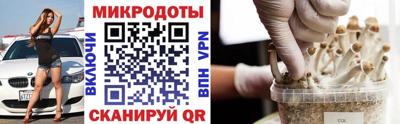 Купить где  Бийск  Галлюциногенные грибы GOLDEN TEACHER 